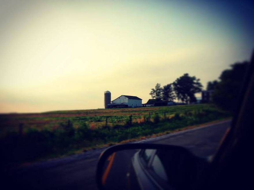 13062332_10153609262800745_4214756223571708722_n